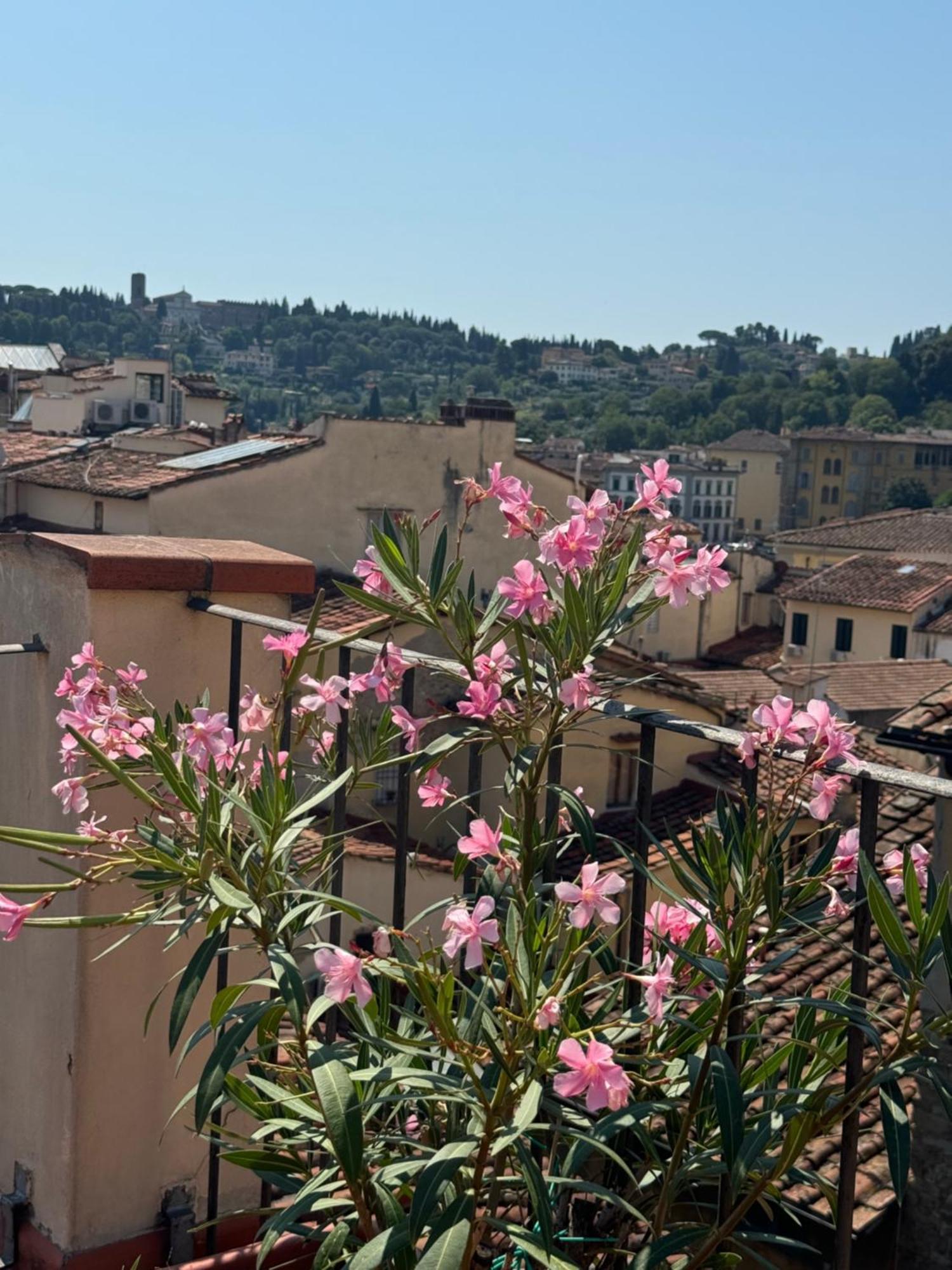 Apartamento Panorama & Terrace *